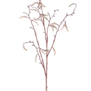 Berkenkatjes tak 66 cm
